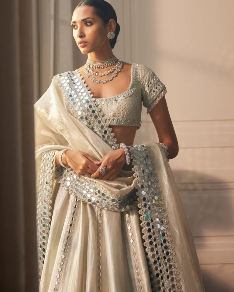 Silver Shimmer Organza Linear Lehenga Set