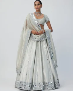 Silver Shimmer Organza Linear Lehenga Set