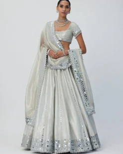 Silver Shimmer Organza Linear Lehenga Set