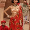 Sindoori Pine Print Ruffle Sari Set
