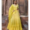 Soleil Chikankari Lehenga Set