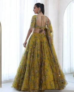 Spring Dwell Lehenga Set