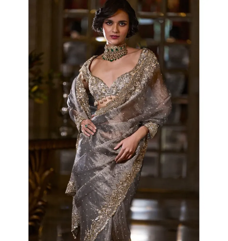 Stone Grey Tissue Organza Sari