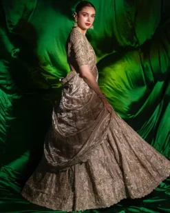 Swarn Lehenga Set