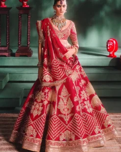 The Aalu Bukhara Lehenga Set