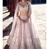 The Blush Tulip Sheesha Gota Lehenga