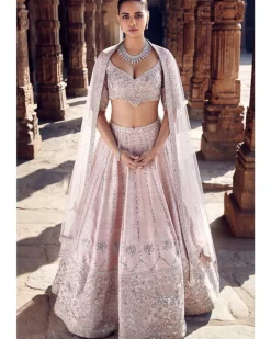 The Blush Tulip Sheesha Gota Lehenga