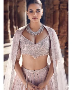 The Blush Tulip Sheesha Gota Lehenga