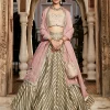 The Earthen Rose Lehenga Woven Set
