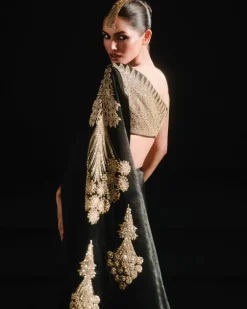 The Kala-Khatta Sari Gown