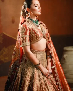 The Mohanthal Lehenga