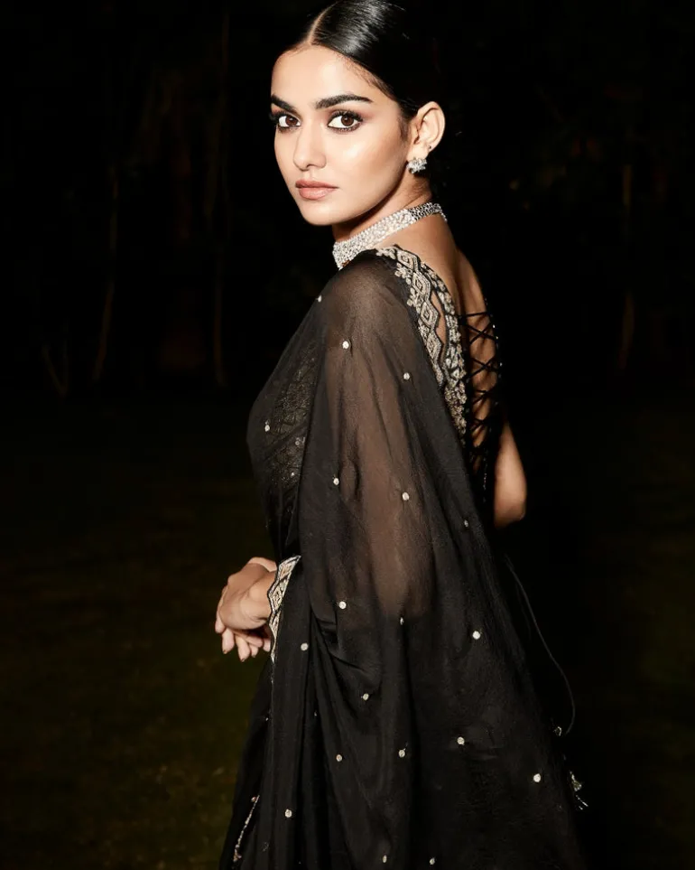 The Royal Noir Sari