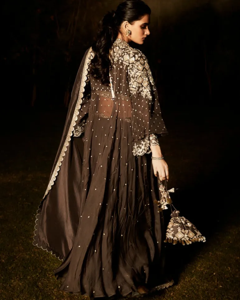 The Royal Parisian Sari