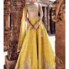 The Royal Pyramid Turmeric Lehenga Set