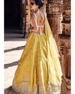 The Royal Pyramid Turmeric Lehenga Set