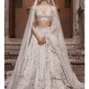The Silver Needle Holy Trinity Lehenga Set