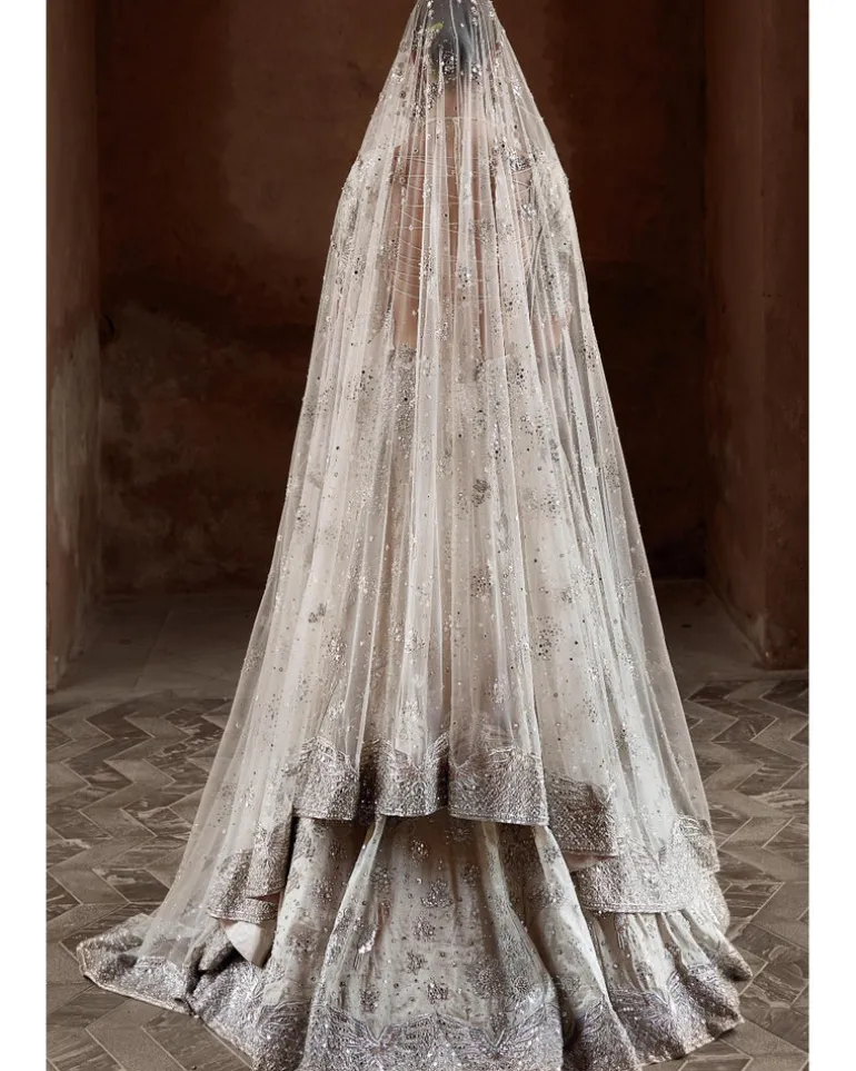 The Silver Needle Winged Glory Lehenga Set