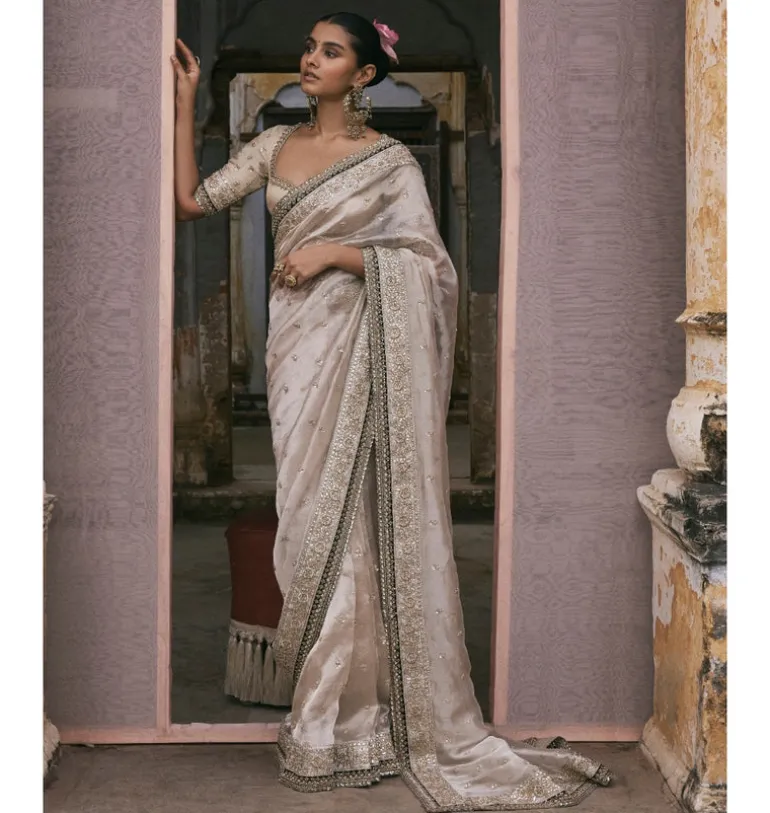 Tissue Sari With Gota and Cutdana Work