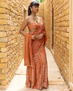 Toasted Orange Sequins Embroidered Sari Set