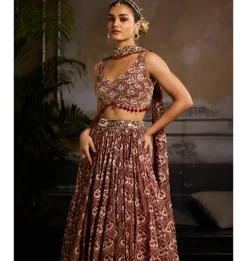 Vivid Reverie Lehenga Set