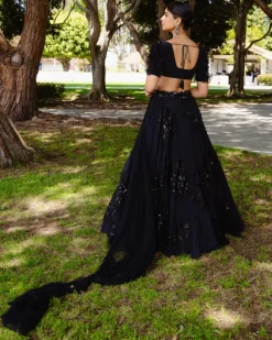 Willow Lehenga