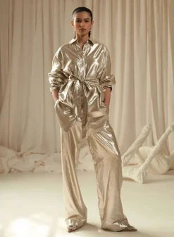 Willow Metallic Top