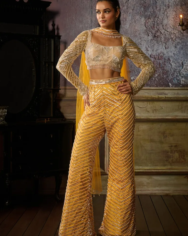 Yellow Fully Embroidered Blouse, Pant And Choker Dupatta
