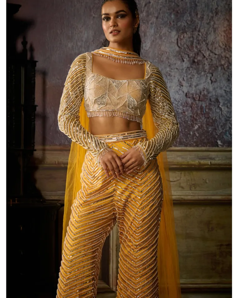 Yellow Fully Embroidered Blouse, Pant And Choker Dupatta