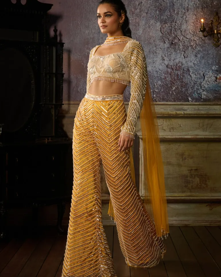 Yellow Fully Embroidered Blouse, Pant And Choker Dupatta