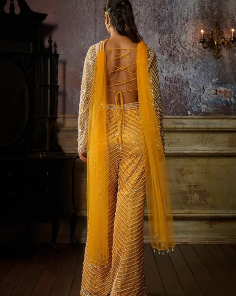 Yellow Fully Embroidered Blouse, Pant And Choker Dupatta
