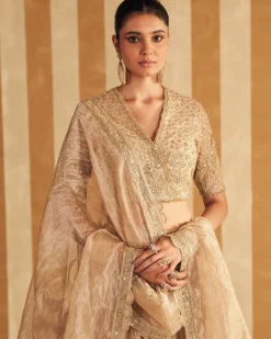 Zarina Lehenga Set