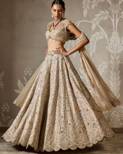 Ziva Lehenga Set